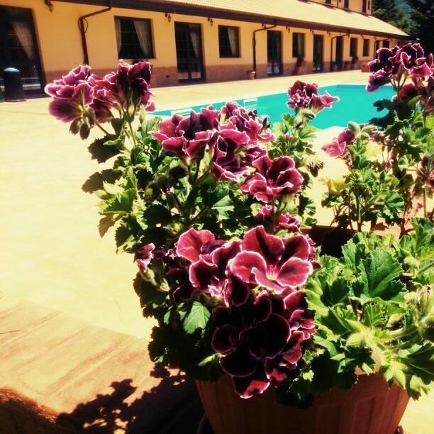 Del Riccio Hotel Martirano Bagian luar foto